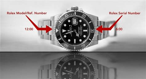 rolex senza numeri|rolex model number lookup.